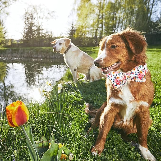 Lionheart glory Dog Collar Bow Collar Floral Dog Collar with Bow Tie Spring Summer Cute Collar Dog Boy or Girl Dog Collars Soft Durable Adjustable Dog Collars for Large Dogs