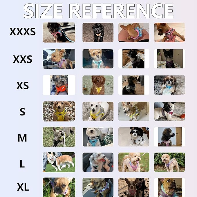 AIITLE Step in Dog Harness and Leash Set - No Pull Escape Proof Vest Harnesses with Soft Mesh and Reflective Bands, Adjustable Pet Outdoor Harnesses for Small and Medium Dogs Pink M