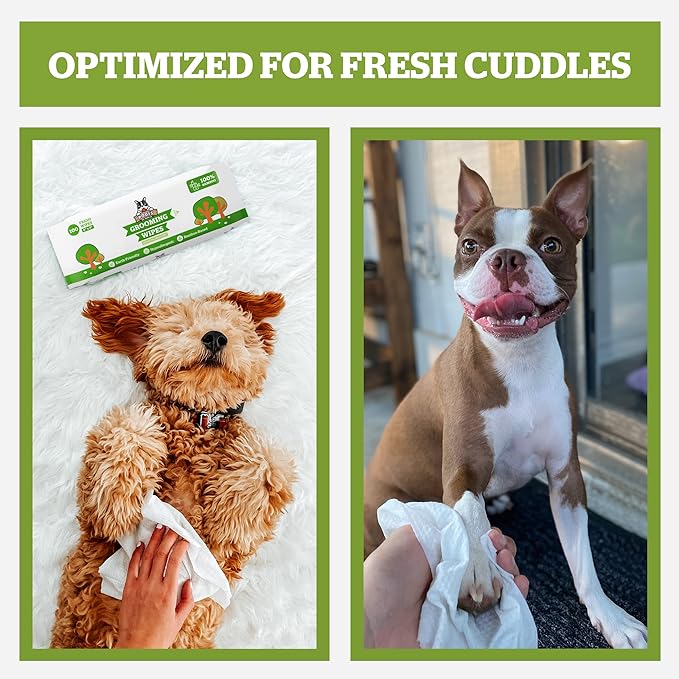 Pogi’s Dog Wipes Travel Packs – Hypoallergenic Pet Wipes for Paws, Body & Butt – Cleaning & Hydrating, Green Tea Scent, 120-Count