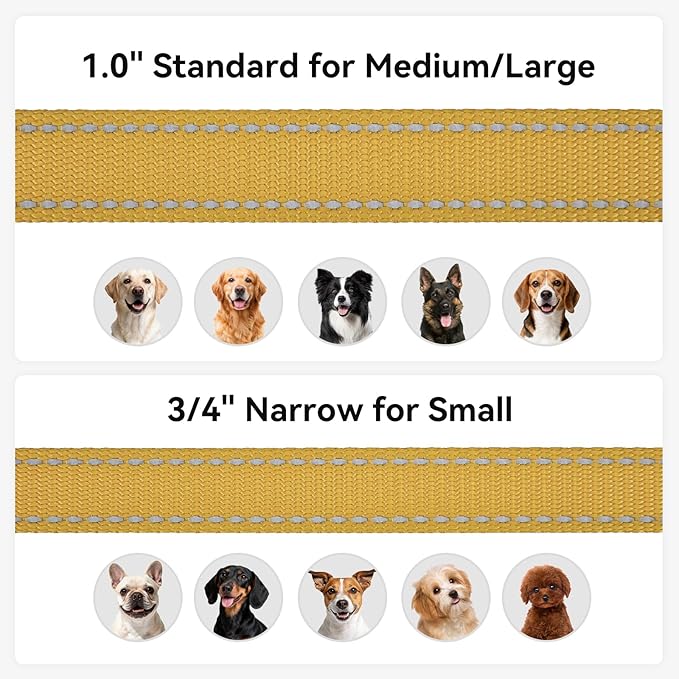 Joytale Dog Leash, 5 FT Double-Sided Reflective, Padded Handle Nylon Heavy Duty Leashes for Medium & Large Dogs Walking, Khaki