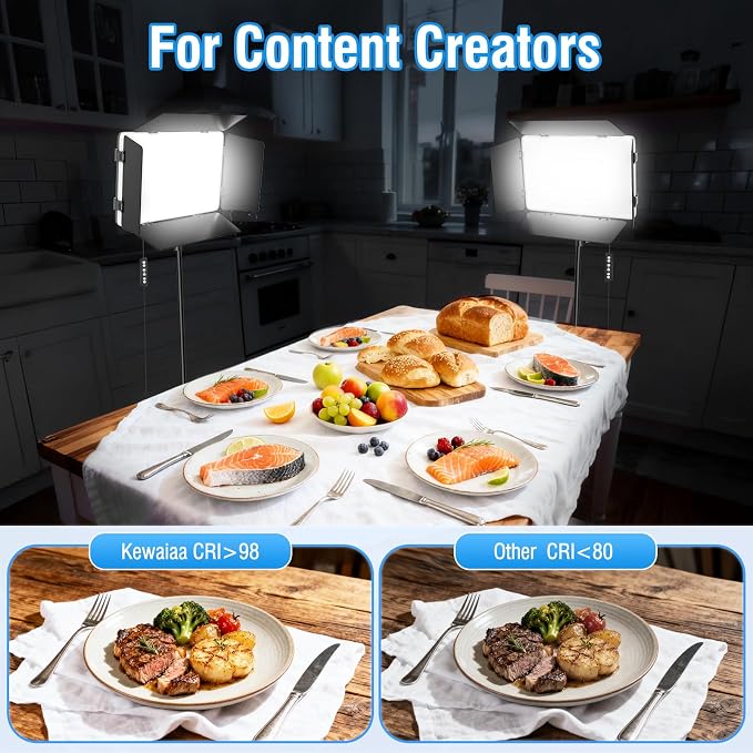 2 Pack LED Video Light with Barndoor, 20W Bi-Color LED Studio Lights Panel