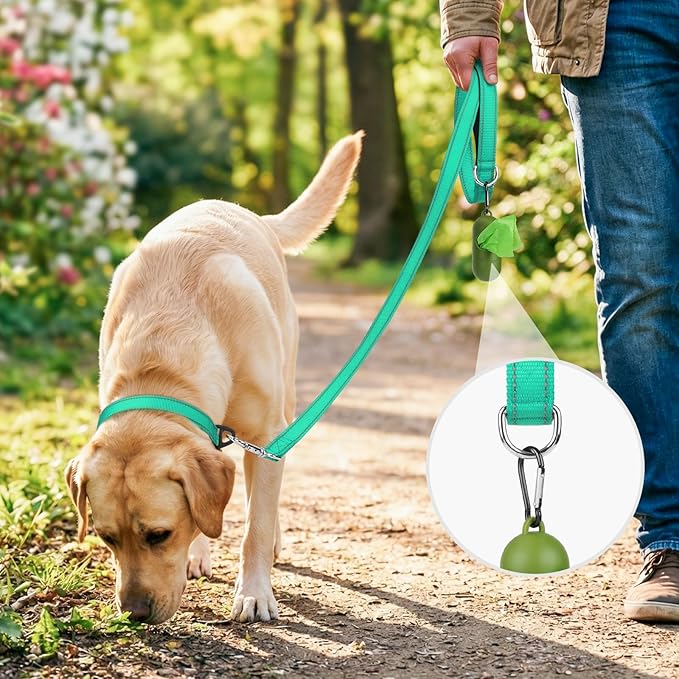 Joytale Dog Leash, 6 FT Double-Sided Reflective, Padded Handle Nylon Heavy Duty Leashes for Medium & Large Dogs Walking, Teal