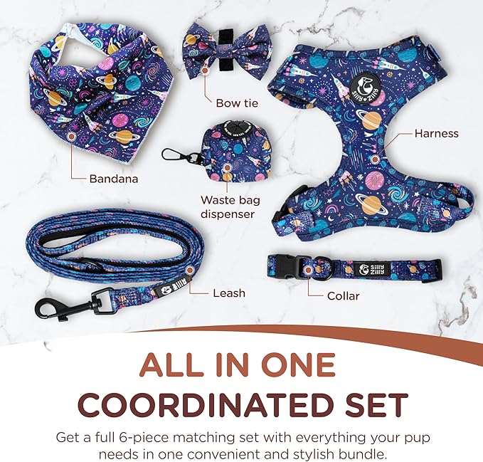 No Pull Harness and Leash Set - 6-in-1 Adjustable Vest Harness and Collars for Medium and Large Dogs. (Cosmic, Large)