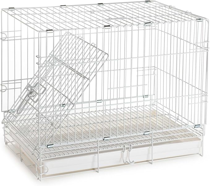 Travel and Vet Bird Parrot Beaks Proof Metal Cage Carrier Easy Foldable Clean with Stainless Bowls and Wooden Stand Perch