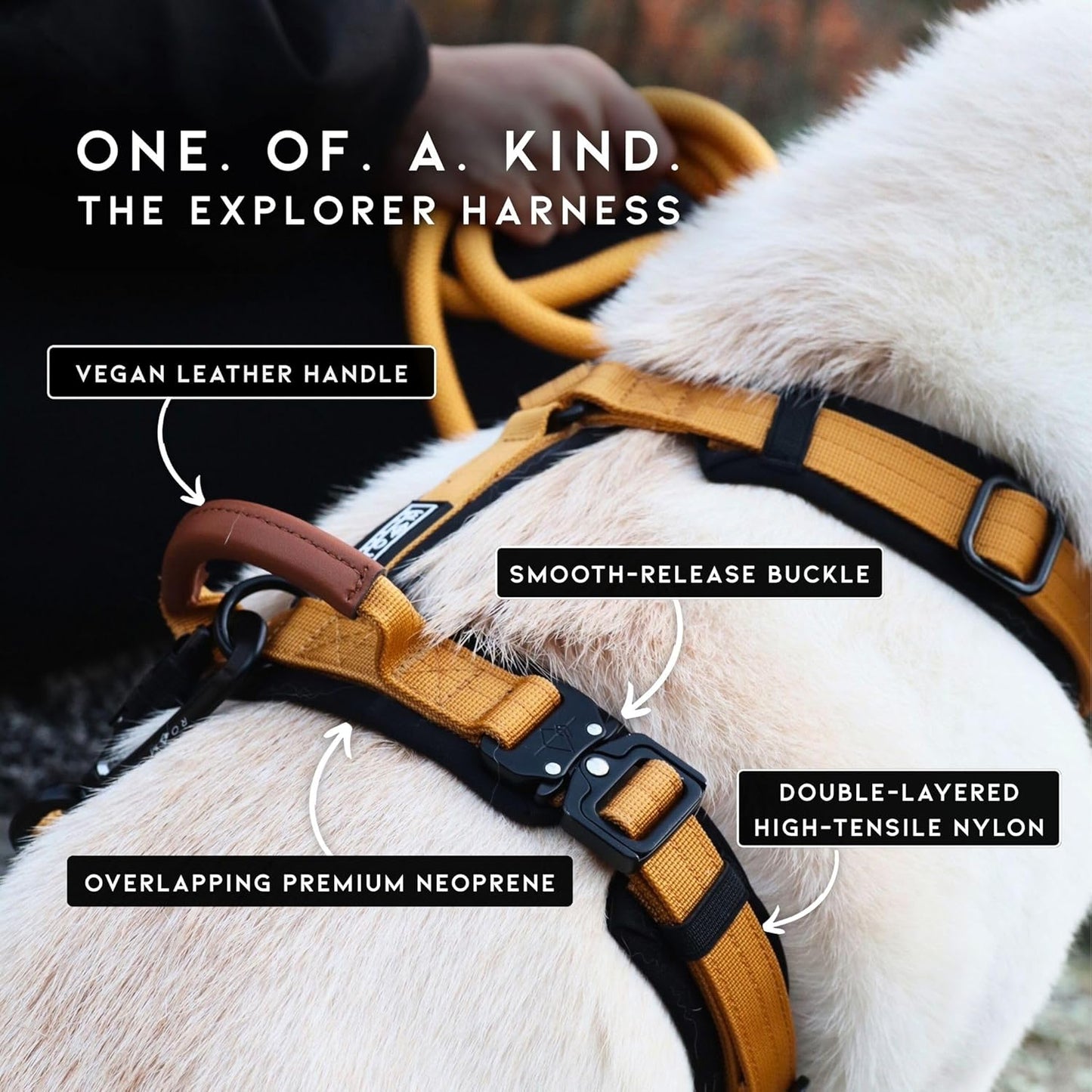 MADE TO ROAM Premium Explorer Harness - Y-Shaped Dog Harness with Adjustable Durable Nylon, Soft Padding, Metal Buckles and Leather Handle for Small, Medium, Large Dogs (California Horizon, Size 3)