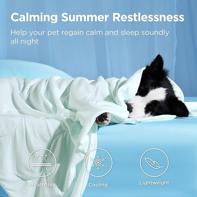 Bedsure Cooling Blanket for Medium Dogs with Breathable Air-Core Fill Q-MAX>0.4 - Dog Cooling Mat Soft, Lightweight Pet Cat Throw Cold Blanket Washable for Summer, Pale Jade, 30x40