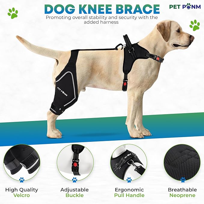 Dog ACL Knee Brace for Back Left Leg - with Integrated Harness - for Cruciate Ligament Injuries, Patellar Luxation, Post-Surgery Recovery. Durable, Breathable Material, Eases Pain - (XSmall)