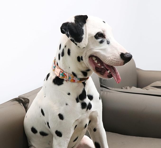 Unique style paws Dog Collar Metal Buckle Gift for Small Medium Large Boys Girls Dogs orange XL