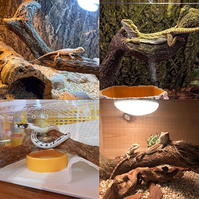 Reptile Decor Natural Forest Branch Terrarium Habitat Decoration Lizard Climbing Tree Branch for Bearded Dragon Gecko Snake Frog Chameleon Spider 8PCS
