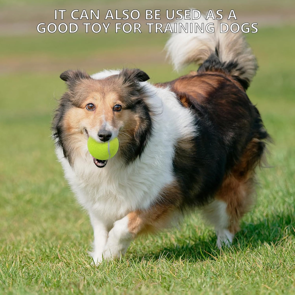 SHYUJAJIE Tennis Balls - 20 Pack High Elasticity Training Balls for Beginners & Pets