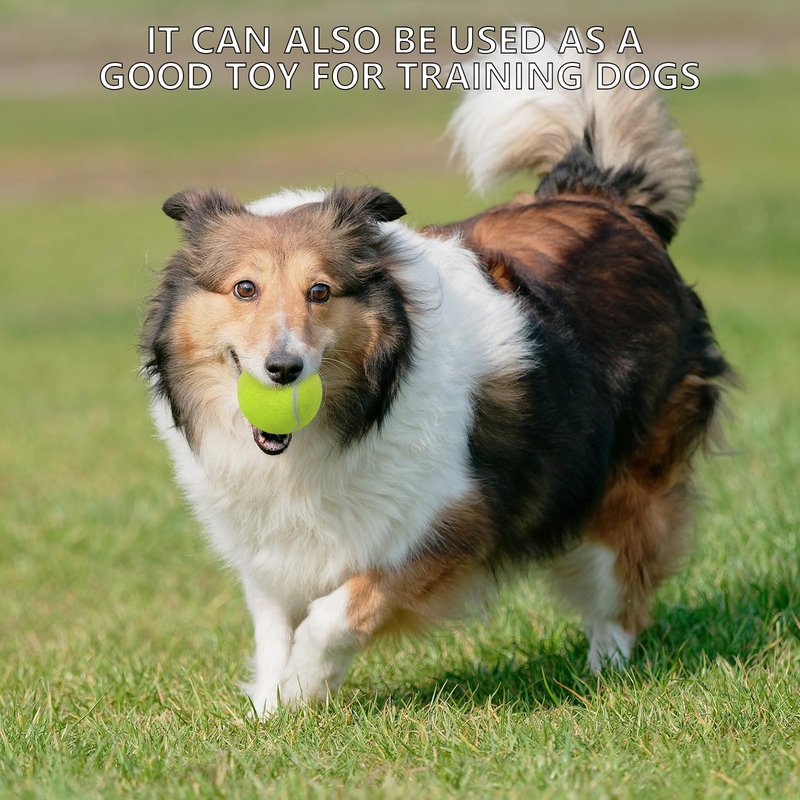 SHYUJAJIE Tennis Balls, 20 Pack Training Tennis Balls,High Elasticity Practice Tennis for Beginner, Exercise Playing Balls for Pet Dog (Multicolour)
