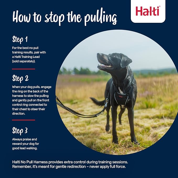 Halti No Pull Harness - Stop Your Dog Pulling on The Leash. Adjustable, Lightweight and Easy to Use. Reflective Dog Training Harness for Medium Dogs (Size M, Forest Green)