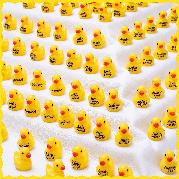 Skylety 24 Pcs Back to School Mini Resin Ducks