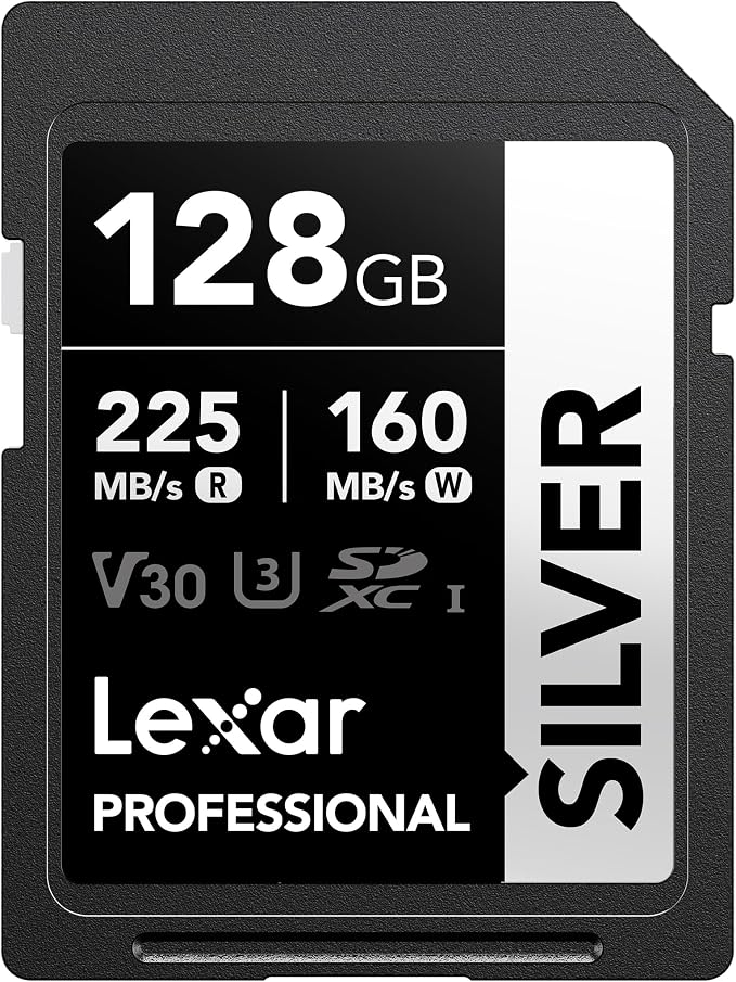 Lexar 128GB Professional Silver SD Card,