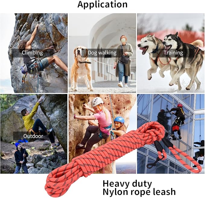 Long Dog Leash for Training 20Ft-Reflective Nylon Rope with Swivel Hook-Recall Agility Lead for Large Small Medium Dogs Outside Walking Hiking-Orange Diam 1/2"