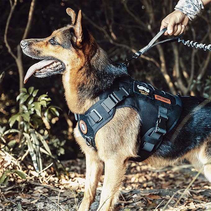 OneTigris Tactical Dog Harness Vest with Handle, Dog Harness for Large Medium Dogs,No-Pull Service Dog Vest with Hook & Loop Panels,Adjustable Dog Vest Harness for Walking(Black,Small)