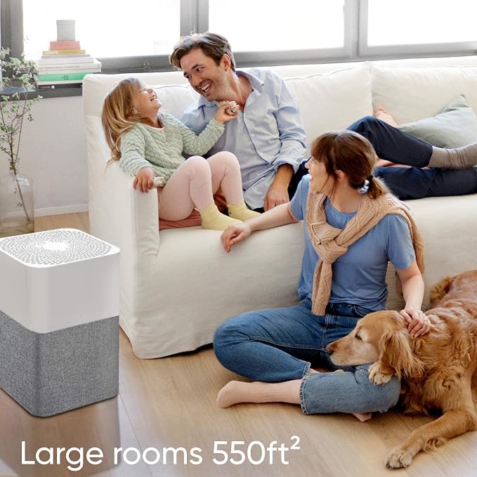 BLUEAIR Air Purifier Large Room, Air Cleaner for Dust Pet Dander Smoke Mold Pollen Bacteria Virus Allergen, Odor Removal, for Home Bedroom Living Room, Washable Pre Filter, HEPASilent, Blue 211+ Auto