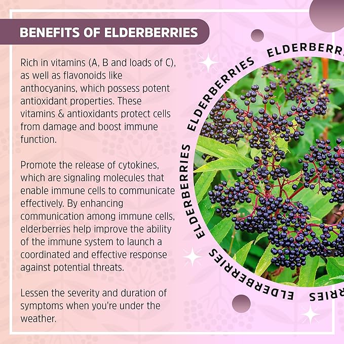 Herbal Supplement Starter Set – A 16oz Bottle of Elderberry Syrup with Honey & a 2oz Bottle of Elderberry to-Go Seasonal Support Made from Only Organic Ingredients in The USA