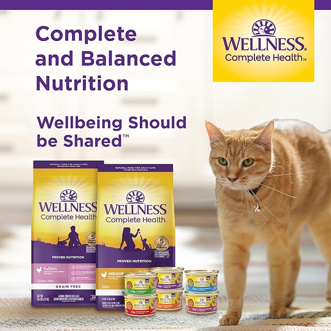 Wellness Complete Health Minced Adult Wet Cat Food, Natural, Protein-Rich, Grain Free, 5.5 Ounce, 24 Pack, (Turkey Entrée)