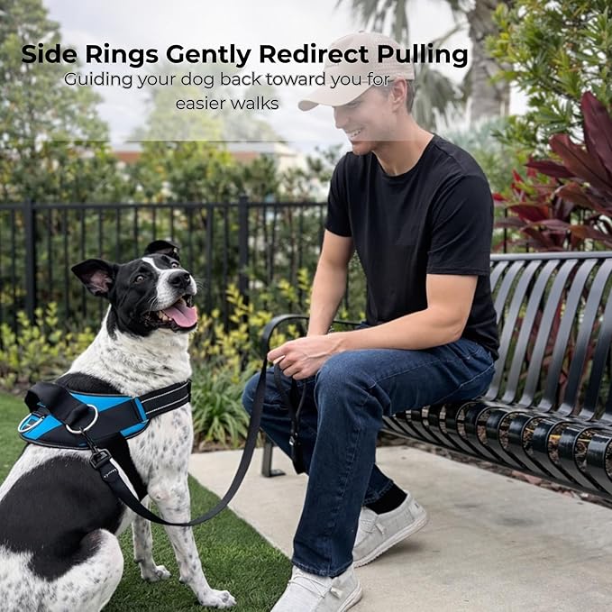 ShawnCo Essential Dog Harness, No-Pull Pet Vest with 3 Leash Clips, No Choke, Reflective, Adjustable and Padded, for Easy Walking and Training for Small, Medium and Large Dogs (Arctic Camo, M)