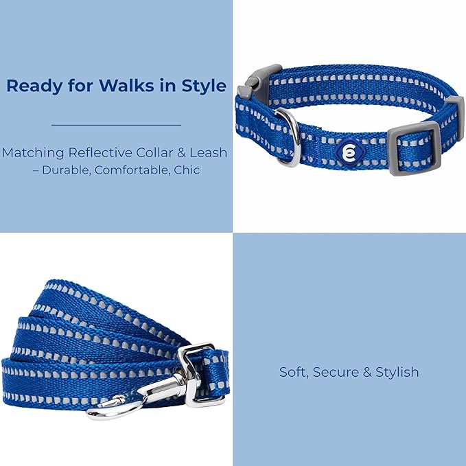 Blueberry Pet Essentials Reflective Dog Collar & Leash Set, Adjustable for Medium Dogs | Safe Walking Gear for Pet Parents, Puppy Training & Daily Use MediumDogs, Navy