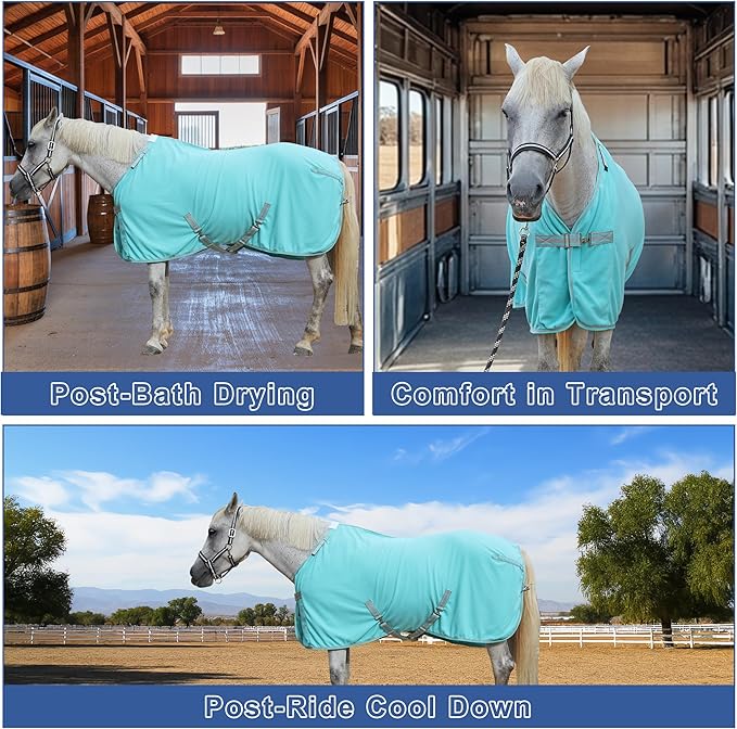 Horse Fleece Cooler, Blanket Liner - 300g Anti-Pilling Fleece, Moisture-Wicking, Cooling & Drying for Post-Workout, Bath & Travel, Prevent Overheating & Chilling Mintgreen 66