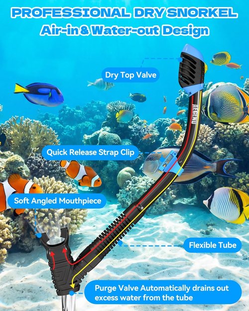 Aegend Snorkeling Gear for Kids - Anti-Fog Diving Mask, Adjustable Fins & Dry Snorkel Kit