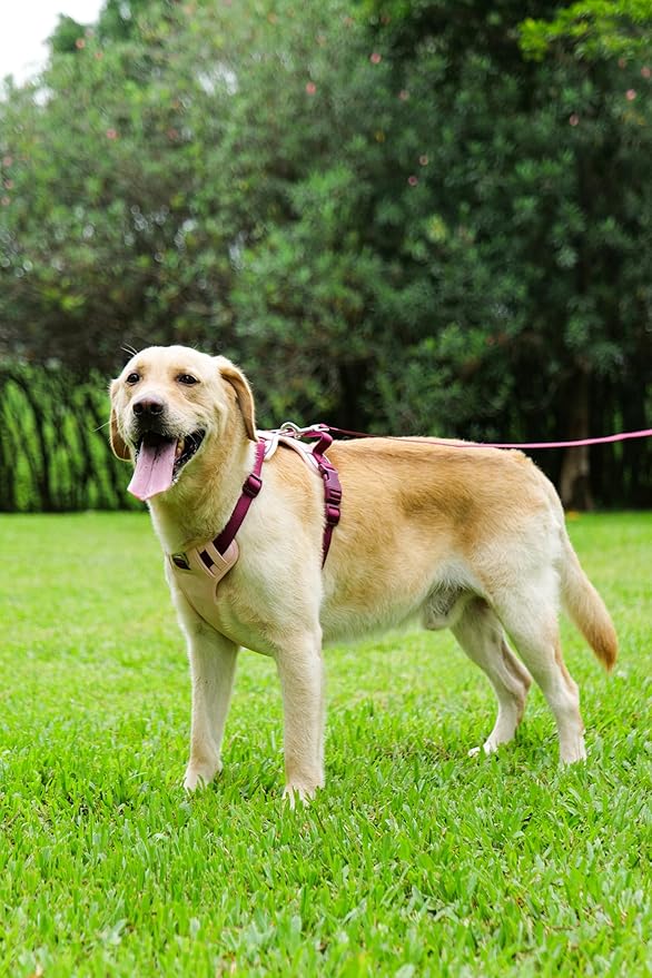 3 in 1 No Pull Dog Harness Leash and Collar Set, Soft Adjustable Dogs Vest Reflective and Comfortable Handle Pink Medium