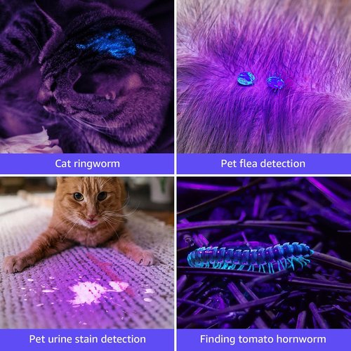 LE Black Light Flashlight - Compact UV Light with 21 LEDs for Detecting Stains & Inks | 395nm