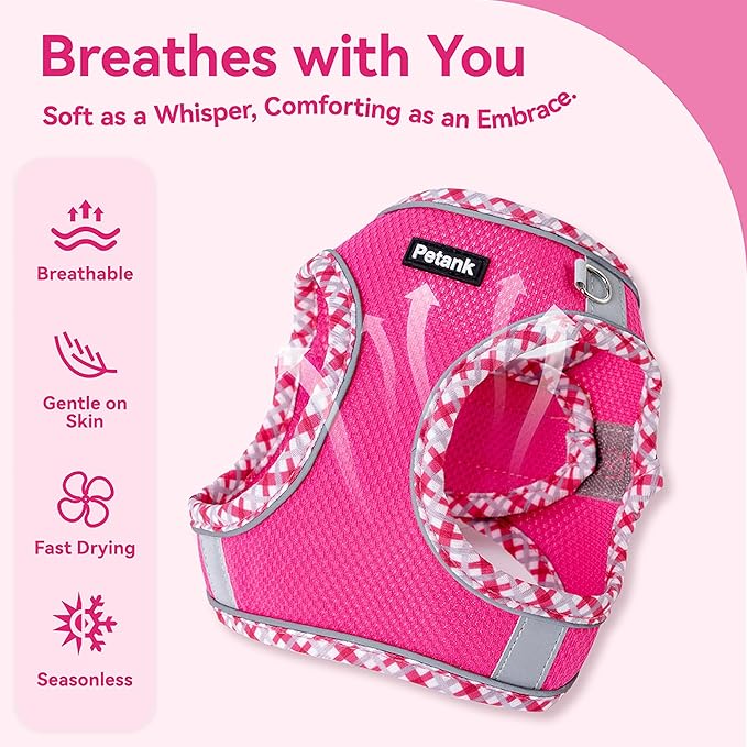 Petank Dog Harness for Small Medium Dogs No Pull, Puppy Harness and Leash Set for Walking, Running, Training, Small Dog Harness, Medium Dog Harness (Rose Red, M)
