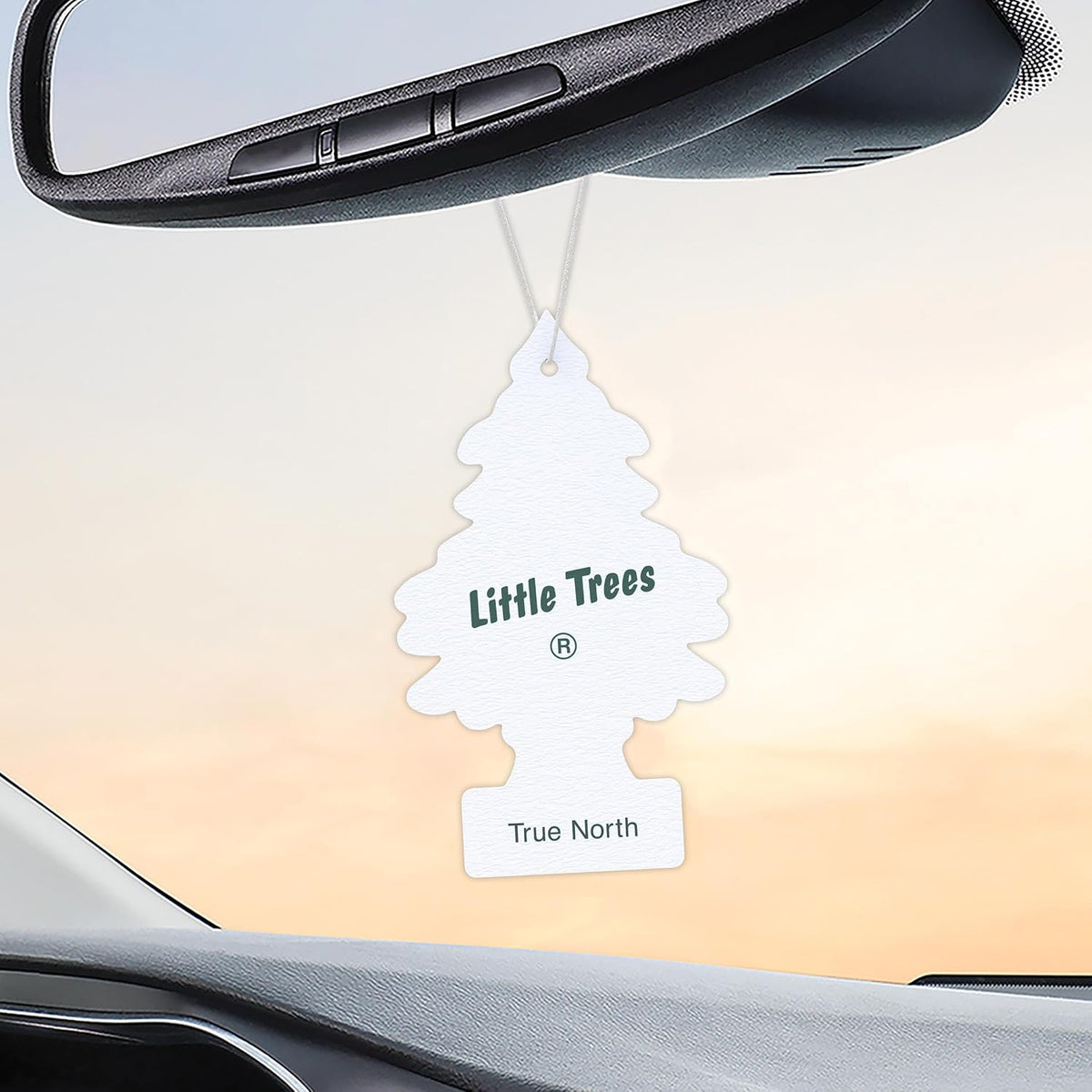 LITTLE TREES Car Air Freshener | Hanging Tree Provides Long Lasting Scent for Auto and Home | 24 Air Fresheners |True North