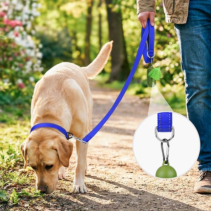 Joytale Dog Leash, 5 FT Double-Sided Reflective, Padded Handle Nylon Heavy Duty Leashes for Medium & Large Dogs Walking, Navy Blue