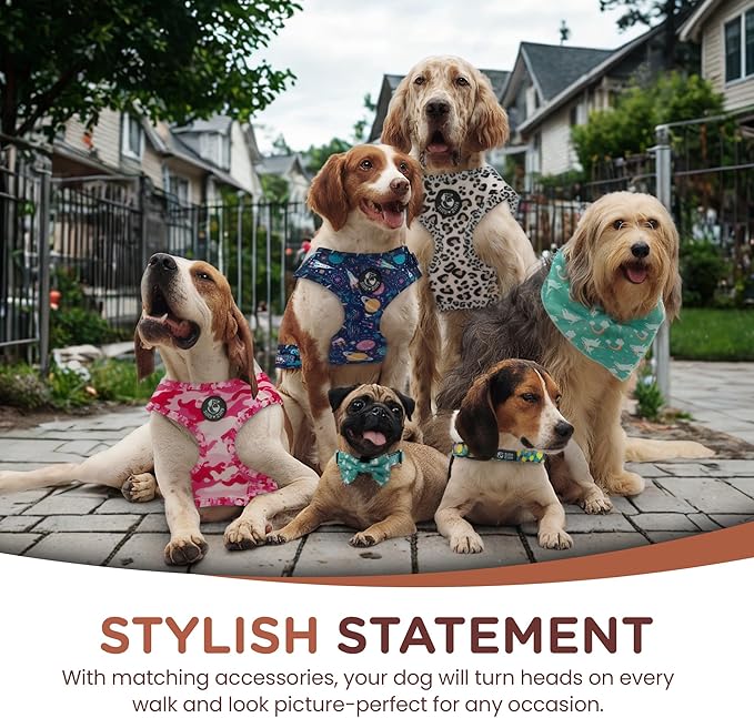 No Pull Harness and Leash Set - 6-in-1 Adjustable Vest Harness and Collars for Medium and Large Dogs. (Lemon, Medium)
