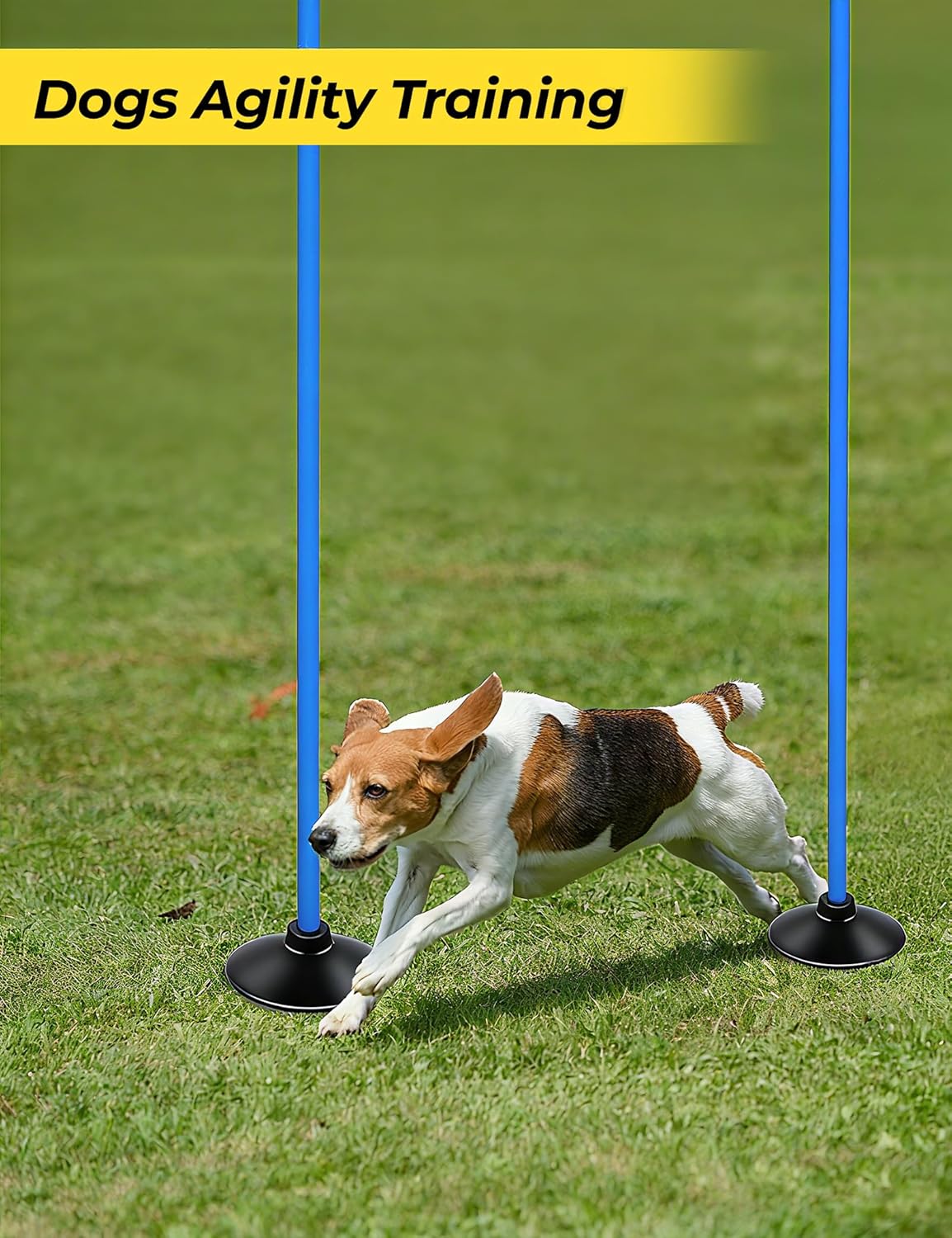 SEAOTTER Soccer Agility Poles Set - 6ft Detachable Speed Poles with Rubber Base for Sports Training | 4/6/10 Pcs
