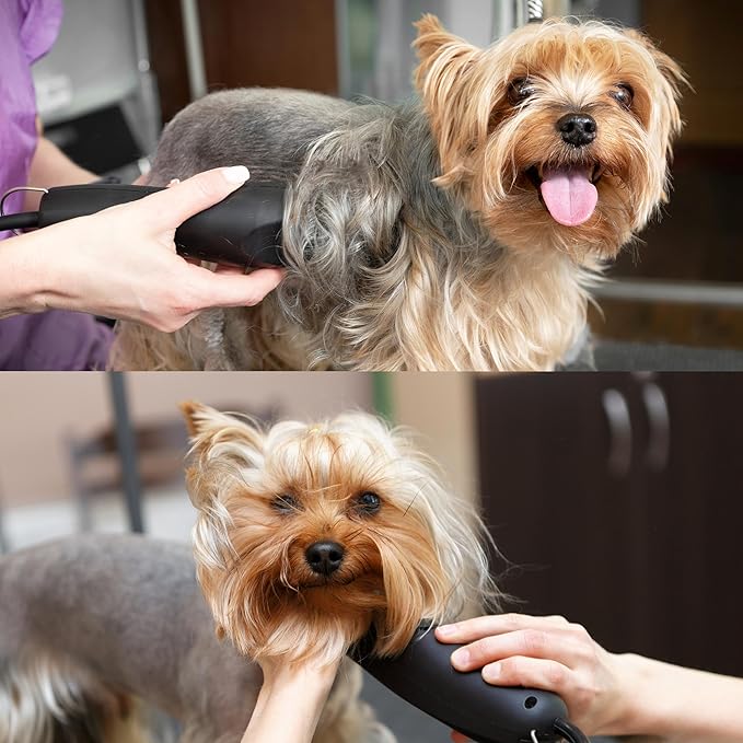 Detachable A Series 5/8 Narrow Cut Blade Dog Grooming Cut Length 1/50" - 0.5mm Ideal for Toe Blade Japanese Carbonized Steel | Compatible A5 Series (5/8NC)