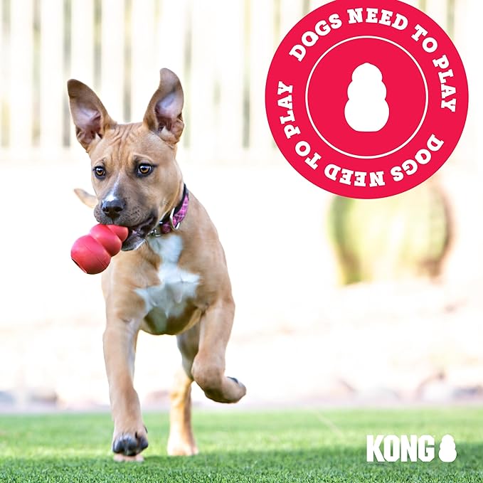 KONG Classic Stuffable Dog Toy - Fetch & Chew Toy for Dogs - Treat-Filling Capabilities & Erratic Bounce for Extended Play Time - Durable Natural Rubber Material - for Large Dogs (Pack of 2)