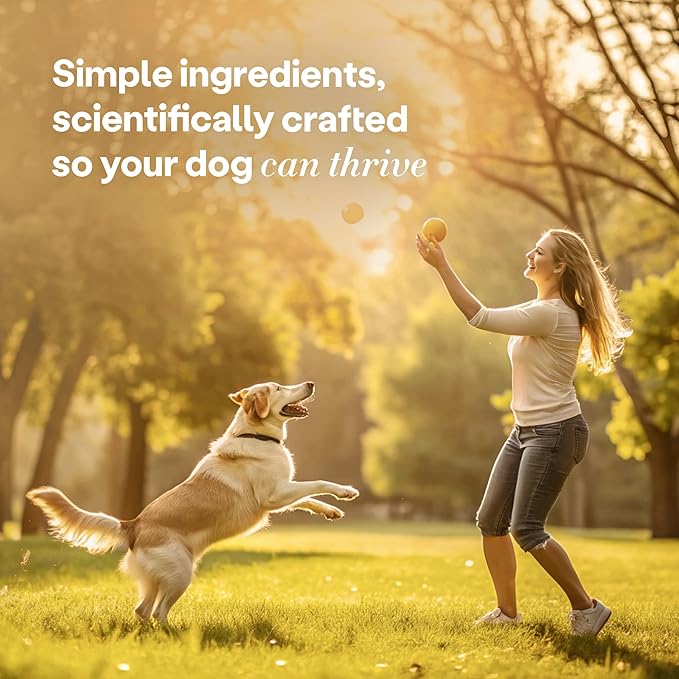 Wild Earth Superfood Dog Treats, Plant Based Dog Treats with Omega Acids, Prebiotics & Koji Protein, No Fillers, Veterinarian-Developed, Peanut Butter Flavor