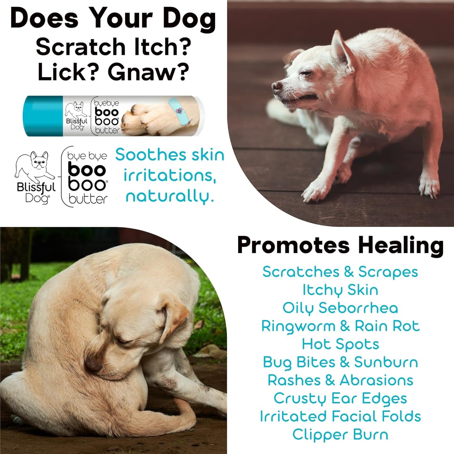 The Blissful Dog Papillon Boo Boo Butter, 4-Ounce