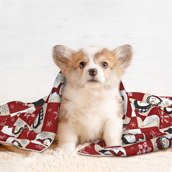 Red Beige Snowman Blanket - Snowflake Throw Blanket 30x20 Pet Blanket for Couch Sofa Bed Winter Xmas Holiday