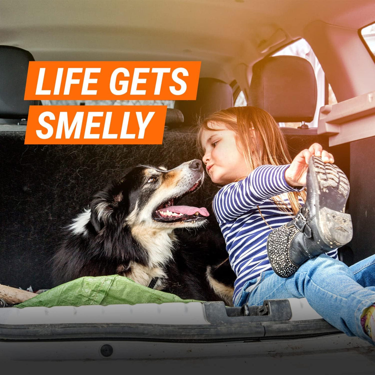 Armor All FRESH fx Rapid Odor Eliminator, Fogger Car Air Freshener, 3 Pack | Tranquil Skies scent with odor elimination technology freshens interiors and vents; 1.5-ounce car odor remover