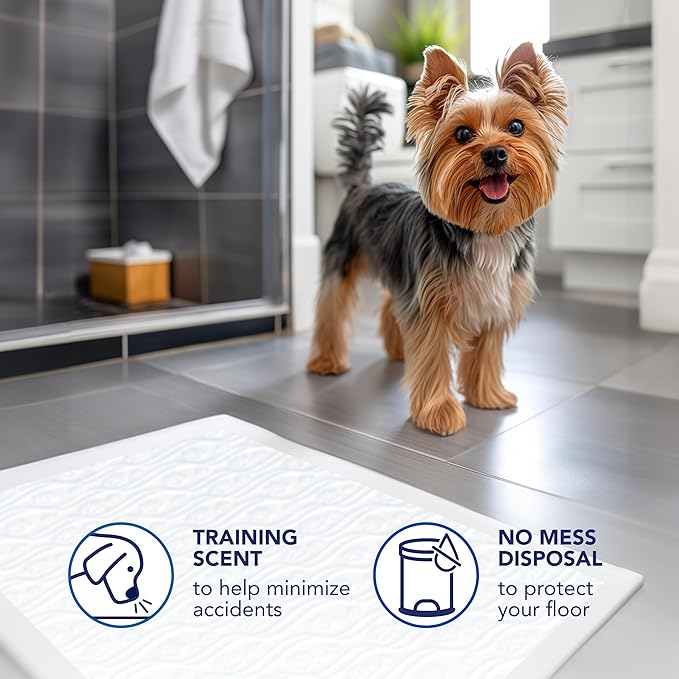 Scott Pet Guard Dog Pads - Size Large - 22" x 22" - 100 Pack