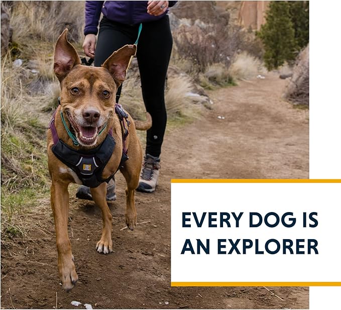 Ruffwear, Web Master, Multi-Use Support Dog Harness, Hiking and Trail Running, Service and Working, Everyday Wear, Basalt Gray, XX-Small