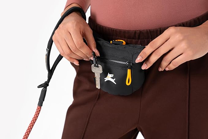 OllyDog Goodie Treat Bag, Dog Treat Pouch, Waist Belt Clip for Hands-Free Training, Magnetic Closure, Dog Training and Behavior Aids, Three Ways to Wear (Raven S'25)