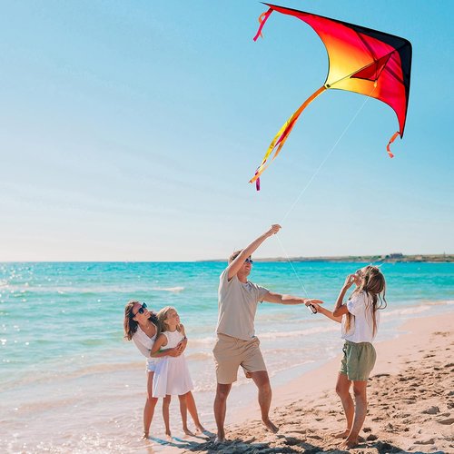 JOYIN Large Delta Kites - Easy to Fly Airplane & Spaceship Designs | Perfect for Kids & Adults Outdoor Fun