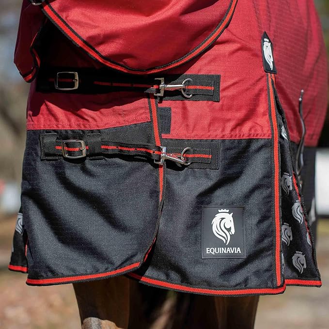 Equinavia Norse Lightweight 100g Fill Horse Rain Blanket | Waterproof Turnout Sheet - Black - 66 in - Equestrian Red - 72 in