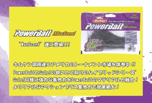 Berkley PowerBait MaxScent D-Worm | Enhanced Scented Fishing Bait for Superior Catching