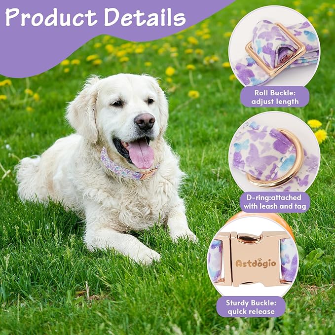 Elegant Butterfly Dog Collar, Purple Blue Gradient Design Collars for Dogs, Adjustable Comfortable for Small Medium Large Dogs, Handmade Cotton Puppy Collar for Daily Walks, Park Adventures-M