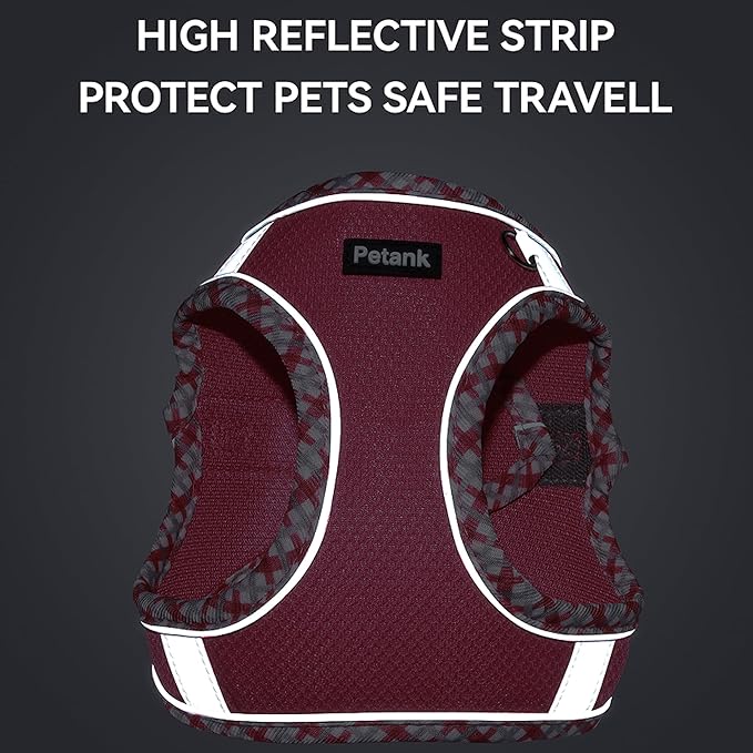 Petank Dog Harness for Small Medium Dogs No Pull, Puppy Harness and Leash Set for Walking, Running, Training, Small Dog Harness, Medium Dog Harness (Rose Red, M)