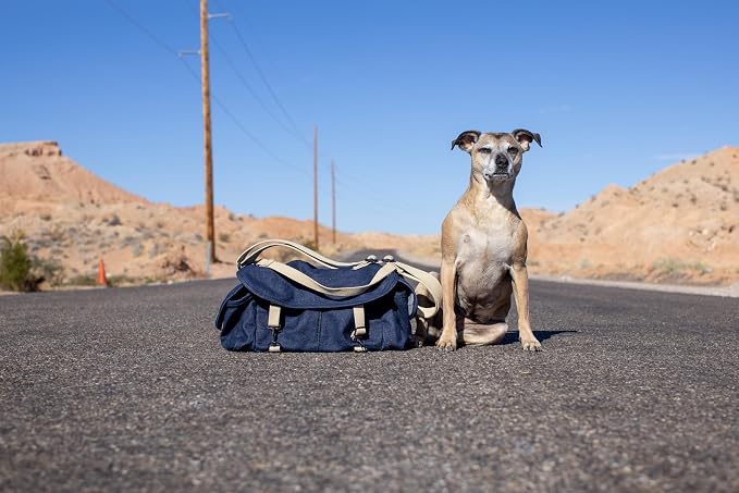 Domke F-2 Denim Camera Bag
