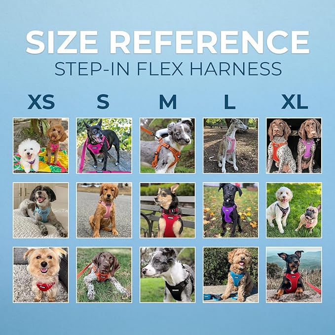 Best Pet Supplies Voyager Adjustable Step-in Flex Breathable Mesh Dog Harness for Small Medium Large Dogs (Pink), S